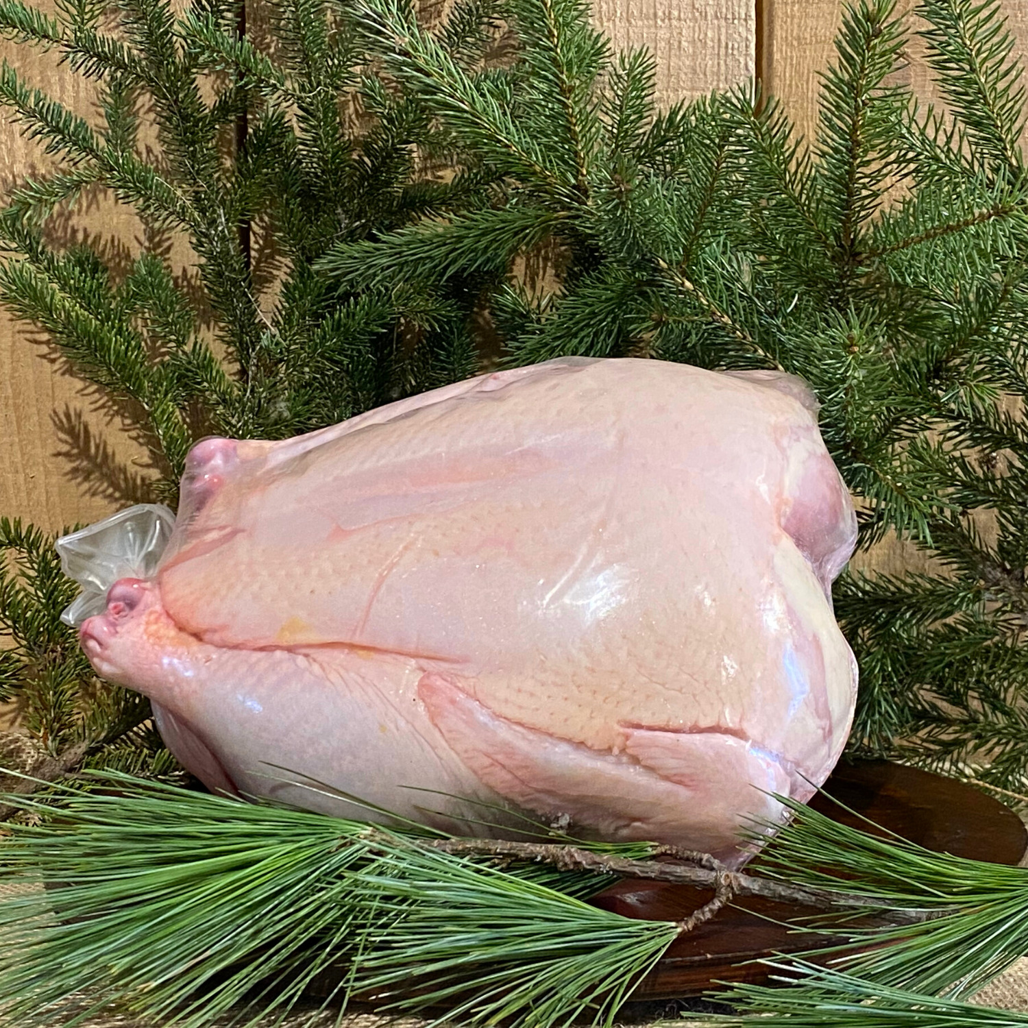 Poulet de grain Ferme Aux Vieux Chênes Poulet de grain Ferme Aux Vieux Chênes
